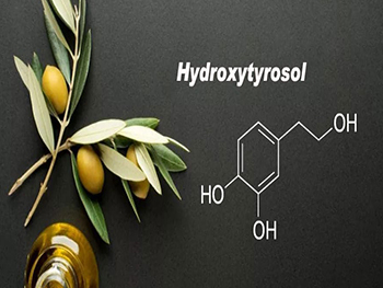 Does Hydroxytyrosol Powder Cross The Blood-Brain Barrier?